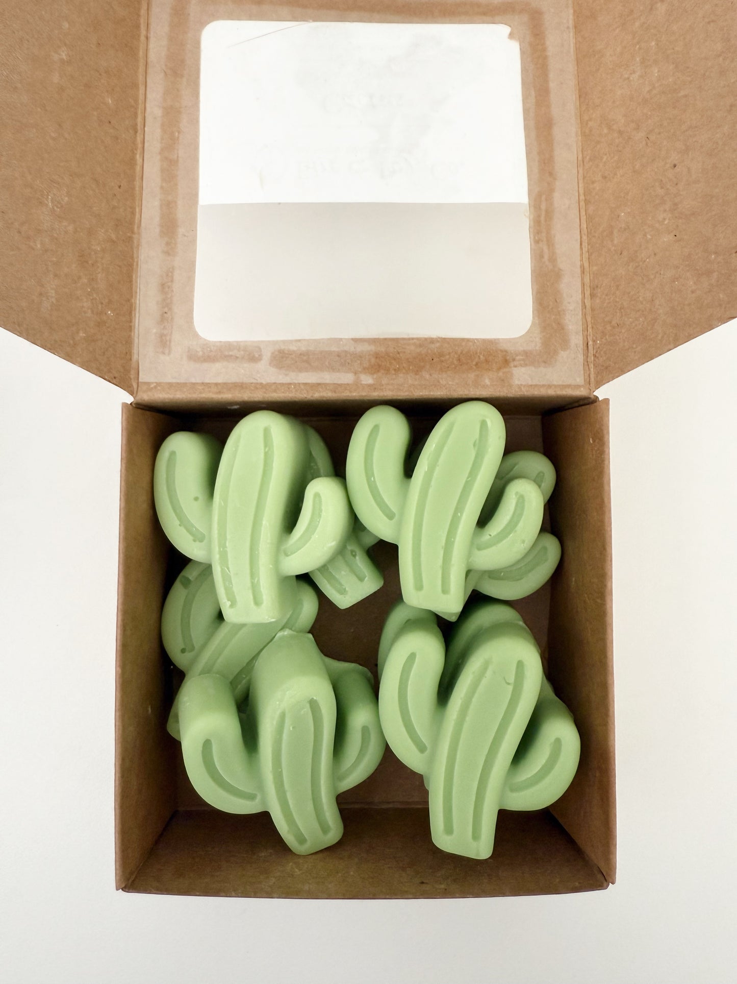 Soy Wax Melts | Cactus