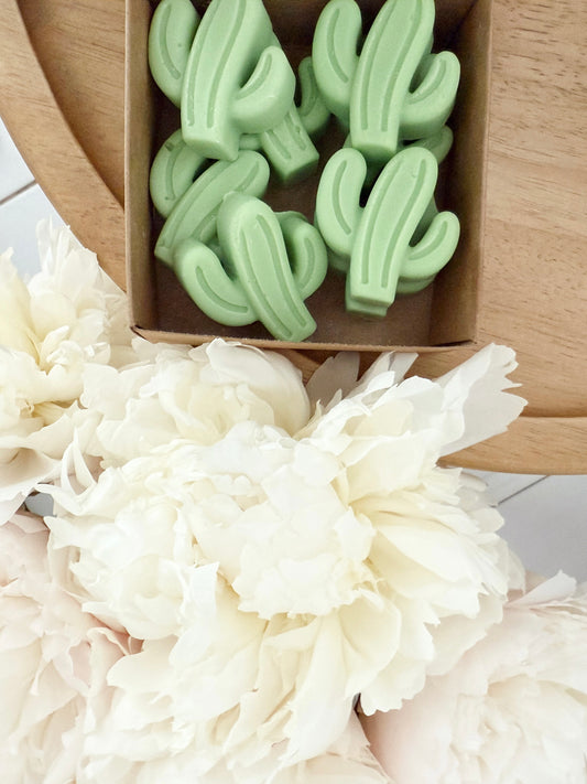 Soy Wax Melts | Cactus