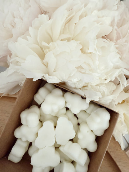 Soy Wax Melts | Mahogany Coconut