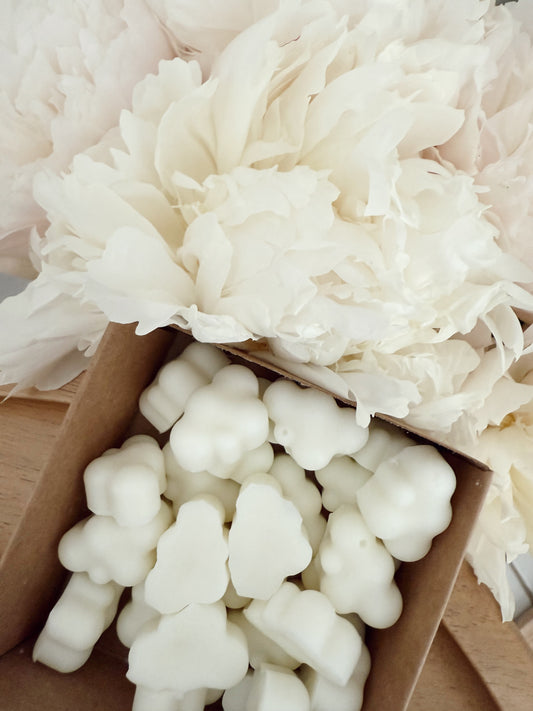 Soy Wax Melts | Mahogany Coconut